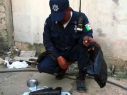 La dependencia recaba declaraciones y pruebas que puedan llevar a la localización del director de la UAT. EL INFORMADOR / ARCHIVO