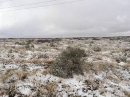 La mañana de este viernes, el gobernador César Duarte recordó que las clases están suspendidas por la nieve. TWITTER / ‏@conagua_clima