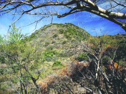 Las maravillas naturales que tiene Jalisco son admiradas y envidiadas a nivel mundial. ESPECIAL / Cortesía