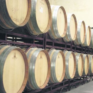 Famosos amplían sus negocios en la industria del tequila