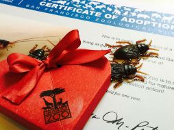 Este es el paquete que reciben las personas que deciden unirse a esta iniciativa. FACEBOOK / San Francisco Zoo