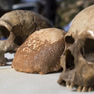 Un cráneo hallado arroja datos sobre primeros humanos europeos