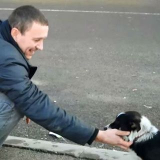 Se vuelve viral rescate de un cachorro en Serbia