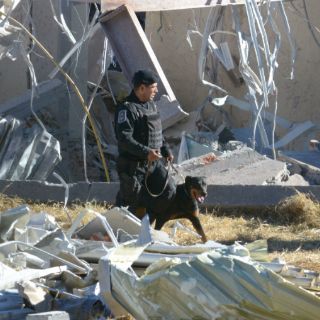 La Semar apoya con binomios caninos en hospital de Cuajimalpa