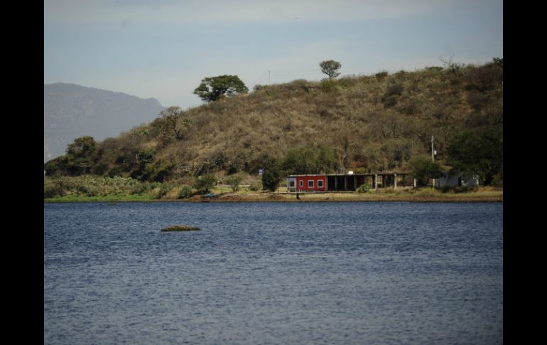 La Presa de Valencia se ha visto afectado por el derrame que sufrió de melaza en el 2013. EL INFORMADOR / J. Mendoza
