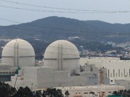 Los científicos están menos preocupados por los alimentos genéticamente modificados o la energía nuclear que el público en general. EFE / ARCHIVO