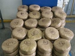 Las autoridades federales activaron el sensor canino después de recibir la denuncia. ESPECIAL /