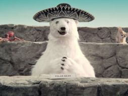 En el spot también se observa a un oso polar ansioso de ser seleccionado por México. YOUTUBE /   Avocados From Mexico