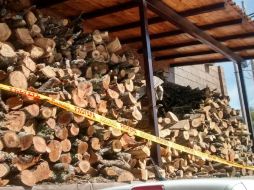 La Profepa procedió a levantar el acta de inspección correspondiente y colocar los sellos de aseguramiento precautorio. ESPECIAL / Profepa