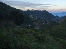 La Sierra Madre del Sur es el hogar de campos de amapola, de donde es producido el opio para los grupos delictivos de Guerrero. AP / D. López Mills