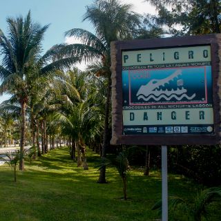 Advierten sobre daños ocasionados por proyecto hotelero en Cancún