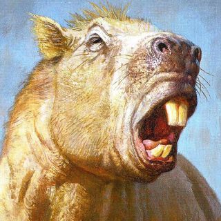 El roedor más grande del mundo tenía la mordedura de un tigre