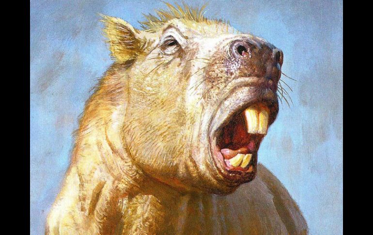 Además de morder, utilizaba sus grandes dientes para excabar en busca de alimentos o defenderse de los depredadores. EFE / J. Gurney