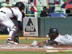 Alexi Casilla, de Gigantes del Cibao, se barre en home ante la marca del catcher Jesús Flores. AFP / P. Richards