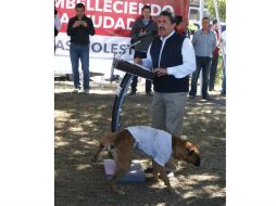 El can ya tiene más de dos mil 'me gusta'. EL INFORMADOR / M. Vargas