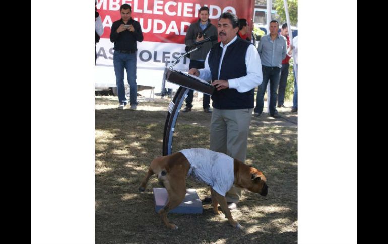 El can ya tiene más de dos mil 'me gusta'. EL INFORMADOR / M. Vargas