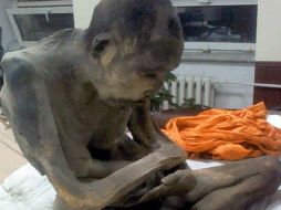 Monjes budistas defienden que en realidad no ha fallecido, sino que se encuentra en una especie trance entre la vida y la muerte. ESPECIAL / siberiantimes.com/