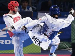 México tendrá sus mejores posibilidades de buscar medallas de oro en saltos, taekwondo, atletismo, racquetbol, ciclismo y fútbol. EL INFORMADOR / ARCHIVO