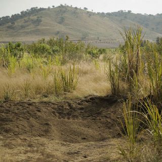 Flora y fauna, sin afectaciones tras fuga en Atotonilco
