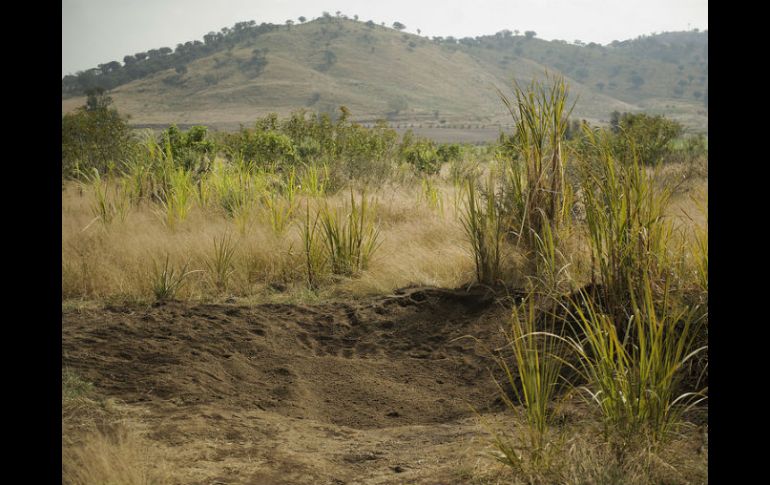 Sólo se detectó la afectación de 17 mil 344 metros cuadrados sobre el canal de riego artificial. EL INFORMADOR / J. A. Mendoza