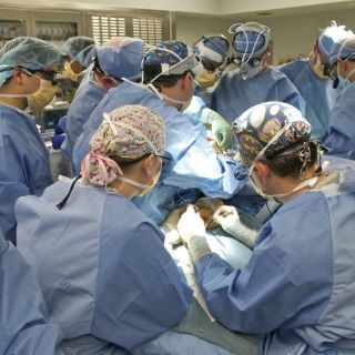 Hospital Civil logra primer trasplante renal secuencial del país