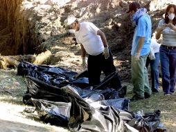 El hallazgo se hizo en el municipio rural Olaya Herrera, a 528 kilómetros de Bogotá. AFP / ARCHIVO