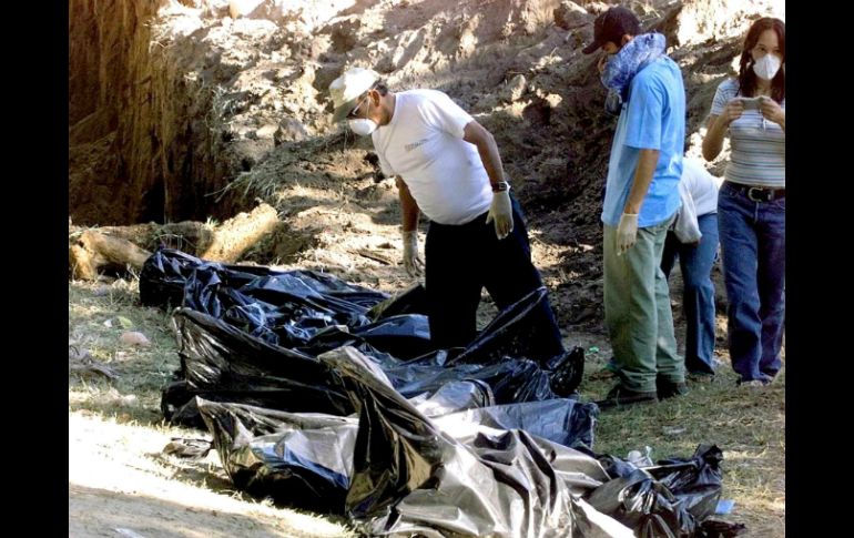 El hallazgo se hizo en el municipio rural Olaya Herrera, a 528 kilómetros de Bogotá. AFP / ARCHIVO