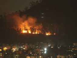 Luego del siniestro registrado en el Cerro de la Estrella se levantará un inventario de la vegetación perdida. NTX / ARCHIVO