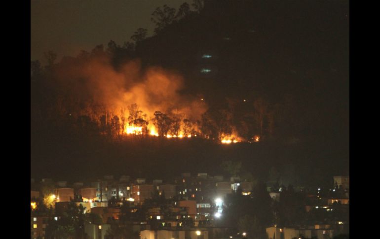 Luego del siniestro registrado en el Cerro de la Estrella se levantará un inventario de la vegetación perdida. NTX / ARCHIVO