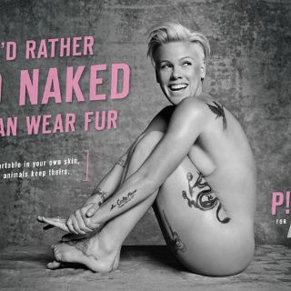 Pink posa desnuda en defensa de los animales