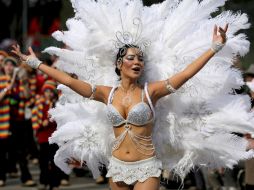 Los defensores del Medio Ambiente cuidarán que no se apliquen productos animales en los disfraces. EFE / ARCHIVO