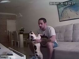 En la grabación se puede ver que el hombre toma a uno de los perros y lo estrella contra el piso. YOUTUBE / Leonardo Bremer