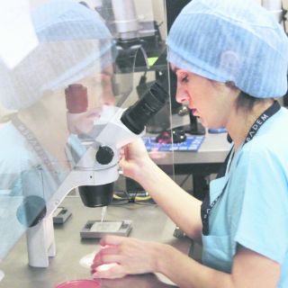 Otorgan patente a la UdeG por avance médico