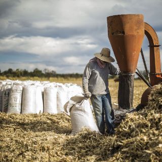 Cambio climático amenaza la seguridad alimentaria mundial
