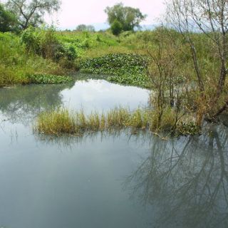 Presa El Molino, en Jocotepec, registra altos niveles de contaminación
