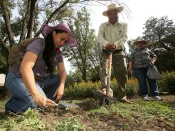 Uno de los proyectos es la Red Mexicana para la Agricultura Familiar que promueve huertos familiares. NTX / ARCHIVO