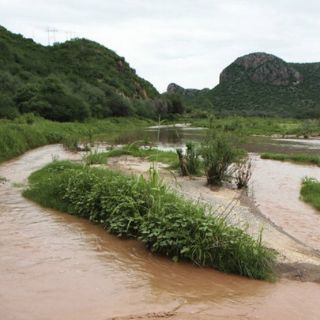 Exageraron a nivel nacional sobre derrame en Sonora, dice GM