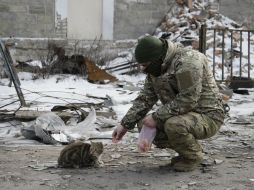 Un soldado separatista pro-ruso da de comer a un gato en las calles de Uglegorsk. EFE / A. Ermochenko