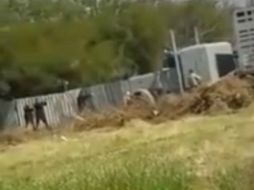 En la imagen se alcanza a ver a los policías preparados a disparar. YOUTUBE / Gary Ferryman