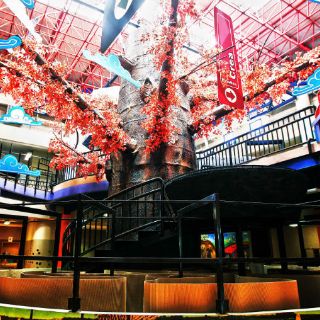 Globo, donde la imaginación vuela