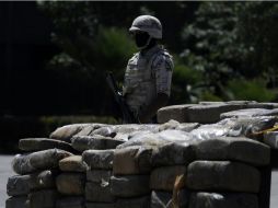 Los plantíos son ubicados en las inmediaciones del poblado de Santa Rosa. NTX / ARCHIVO