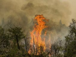 El fuego se origina en el Valle del río Tigre, a unos 40 kilómetros de la localidad de Cholila, por la caída de un rayo. AFP / P. Wegrzin