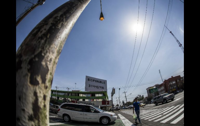 El Ayuntamiento tapatío pretende sustituir al menos 40 mil de las 80 mil existentes en el municipio. EL INFORMADOR / ARCHIVO