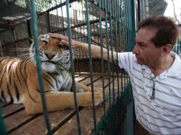 La Procuraduría establece un convenio para trasladar a los animales de manera temporal al Africam Safari. SUN / J. Boites