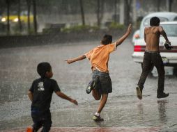 Las gotas de lluvia encapsulan elementos aromáticos. EL INFORMADOR / ARCHIVO