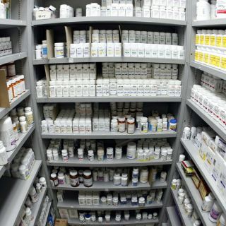 Padecen epilepsia, 50 millones de personas en el mundo