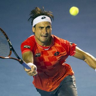 Ferrer enfrentará a Nishikori en la final del AMT