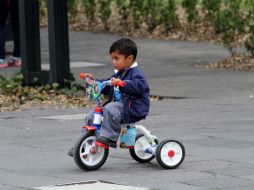 Tanto el síndrome de Lennox-Gastaut como el de Fabry afectan a varones, aunque éste puede presentarse en mujeres también. NTX / ARCHIVO