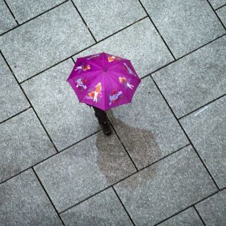 Alemanes saludan a la primavera con lluvias