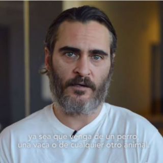 Joaquín Phoenix narra crueldad hacia los perros en China